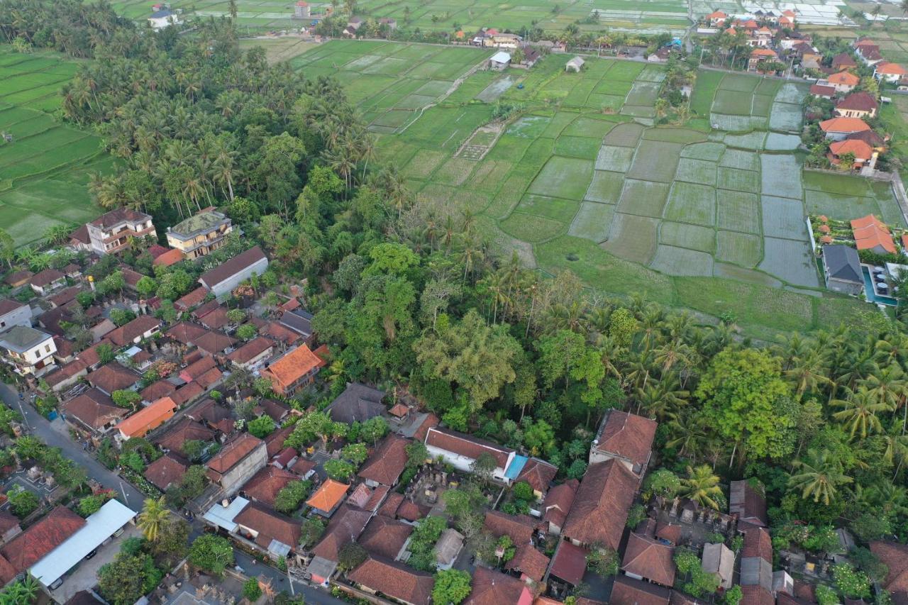 Sila Urip Guest House Ubud Exteriör bild