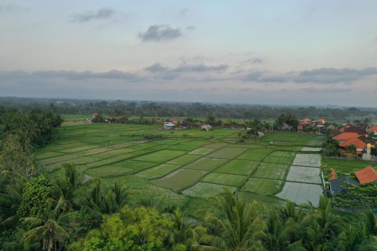 Sila Urip Guest House Ubud Exteriör bild